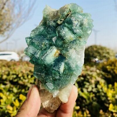 430g Natural Green Fluorite Quartz Crystal Cluster Mineral Specimen Healing