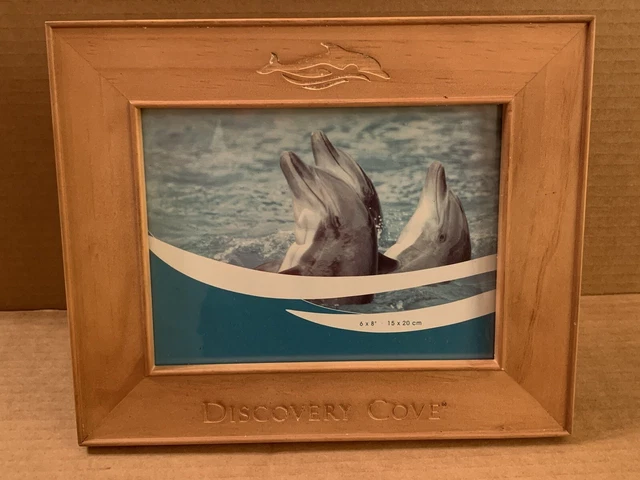 Discovery Cove Picture Frame 6 x 8 Dolphins Wood Wooden Sea World 15 x 20 CM 6x8