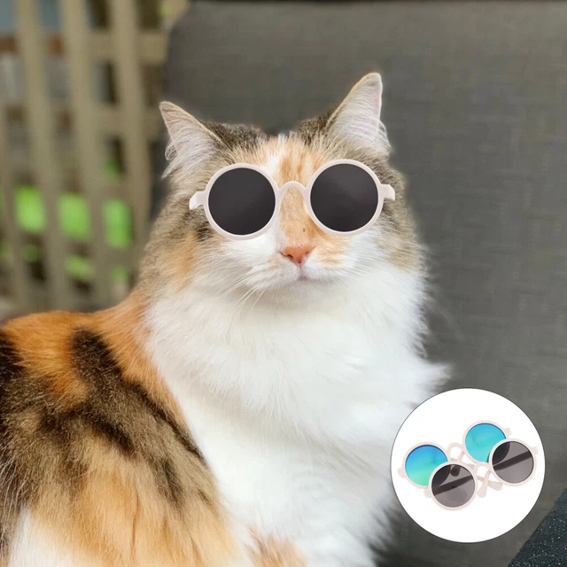 2 Pcs Small Dog Goggles Pet Dress Glasses Trendy Sunglasses Cosmetics