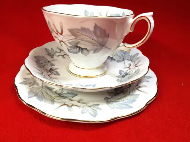 Royal Albert - SILVER MAPLE : China - TRIO Cup, Saucer & Teaplate : Ex Condition