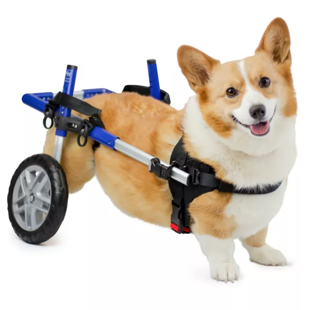 Corgi Dog Wheelchair - for Small Dogs 18-40+ Pounds - Veterinarian Approved