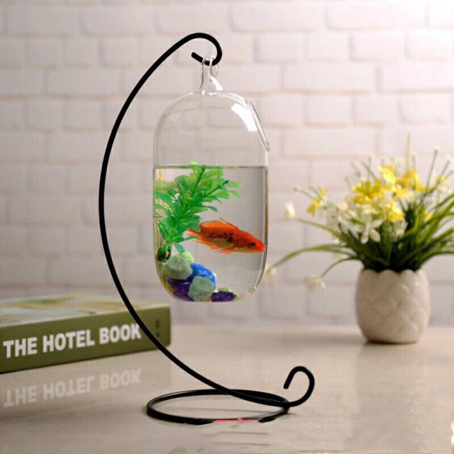 Ecosphere Aquariums & Fish Bowls Live Plants Propagation Stations Small Aquarium