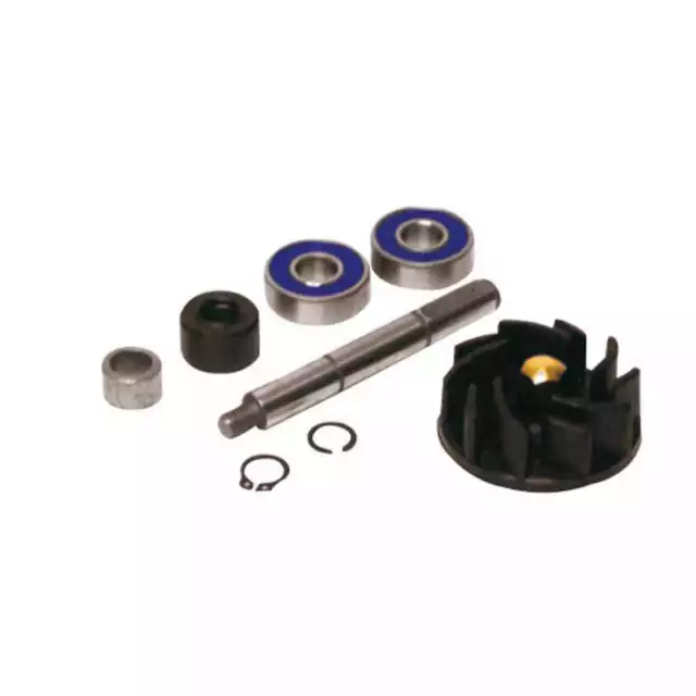 Kit Revisione Pompa Acqua Piaggio Hexagon Lx-Lxt 125 1999