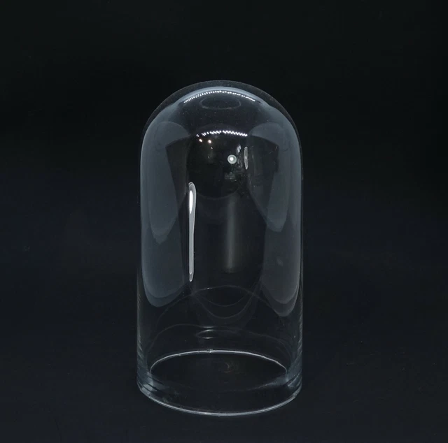 Cúpula de Cristal - Campana de Cristal, 19 Siglo, 21CM (#14119)