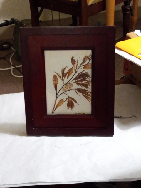 Beautiful mahogany frame w/ wood mat Pressed flower wall hanging.