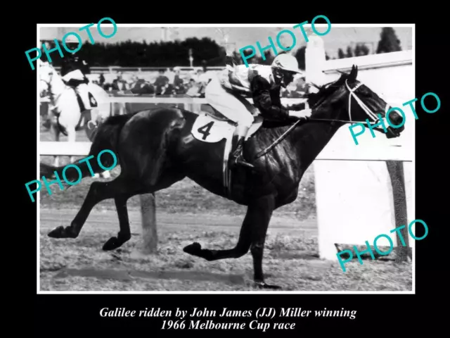 Old Large Horse Racing Photo Of Galilee Winning The 1966 Melbourne Cup