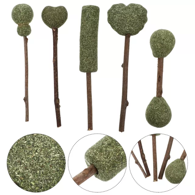 Catnip Lollipops Edible Cat Toys: 5Pcs catnip chew toy teething toys for