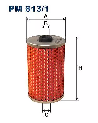 Filtron (PM 813/1) Kraftstofffilter für MERCEDES TATA