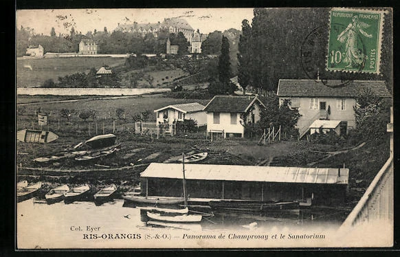 CPA Ris-Orangis, General View of Champrosay and the Sanatorium