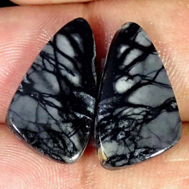 14.50Cts Natural Picasso Jasper Pair Fancy Cabochon Loose Gemstone