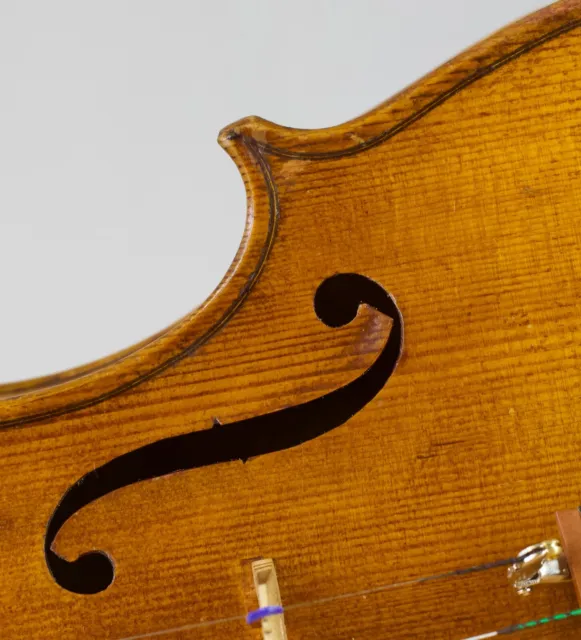 old violin 4/4 geige viola cello fiddle label FRANCESCO RUGGERI Nr. 1934