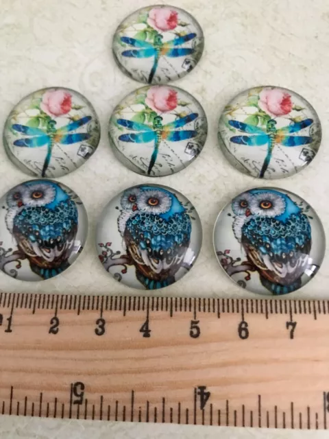 ROUND GLASS CABOCHONS FLAT BACK 25 mm Flat Back OWLS & DRAGONFLIES CRAFTING X 7