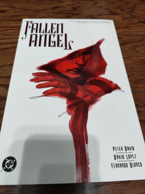 Fallen Angel DC Comics TPB Vol. # 1 Graphic Novel Comic Book Peter David J564