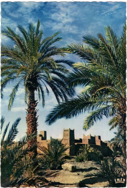 Maroc - Un ksour dans la vallée du Draâ   (G6493)