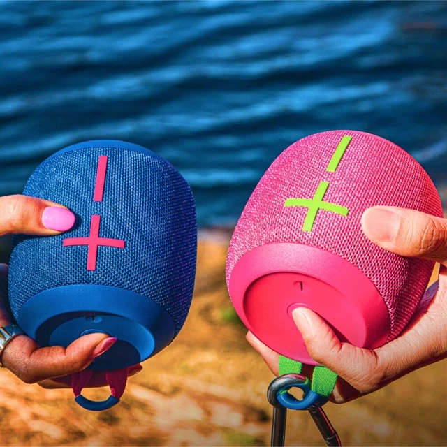 Wonderboom db sales