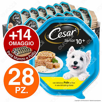 Cesar Senior 10+ Cibo per Cani Pollo e Riso in Gelatina - 42 Vaschette da 150g
