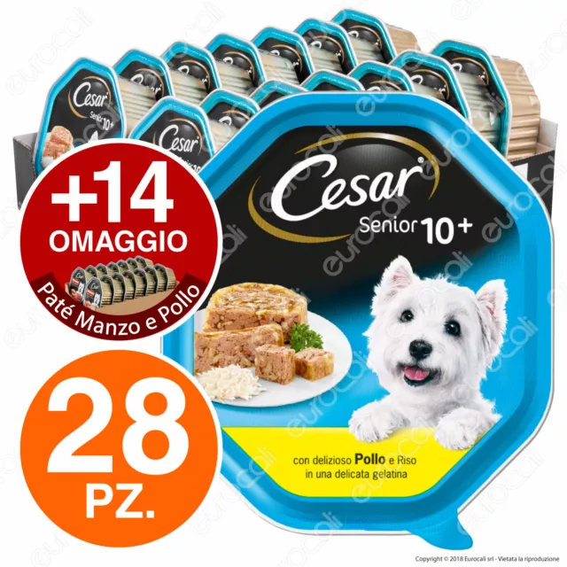 Cesar Senior 10+ Cibo per Cani Pollo e Riso in Gelatina - 42 Vaschette da 150g