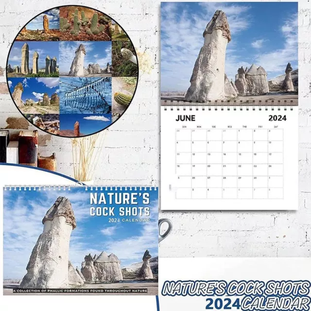 2025 FUNNY PRANK Gift Wall Calendar 2025 Wall Calendar Natures