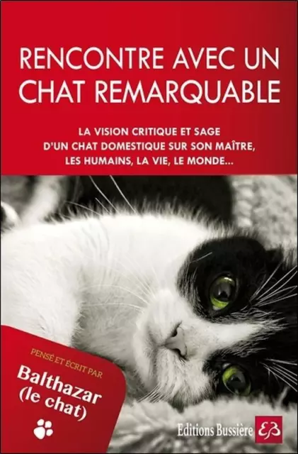 Rencontre avec un chat remarquable - Pensé et écrit par Balthazar le chat