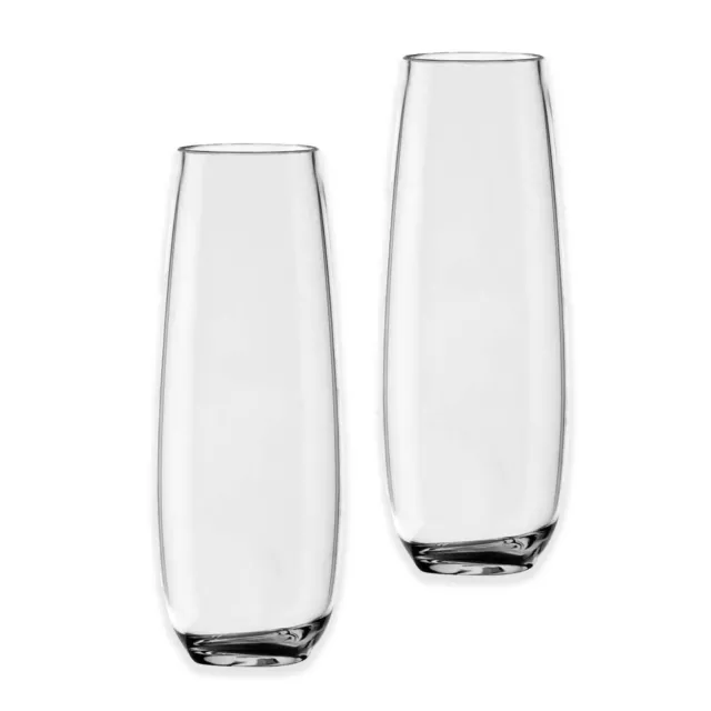 Plastic Acrylic Outdoor/Camping/BBQ Stemless Champagne Flutes - Set of 2