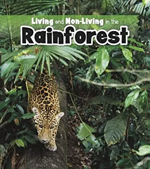 Vie Et non-Living En The Forêt Tropicale Couverture Rigide Rebecca Rissman