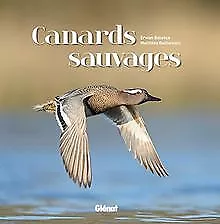 Canards sauvages de Guillemain, Matthieu | Livre | état très bon