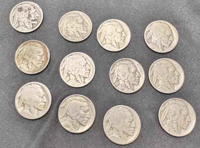 Collection of 12 Indian Head / Buffalo Nickels