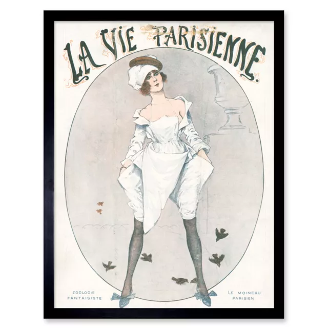 La Vie Parisienne Woman Sparrow Birds Magazine Cover Framed Wall Art Print 9X7