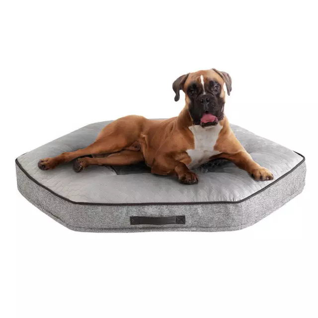 Kirkland 42 round dog bed sale