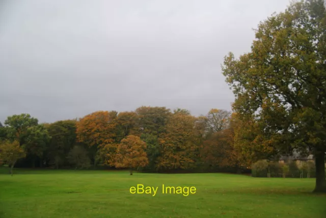 Photo 12x8 Autumn trees at Moss Bank Park  c2011