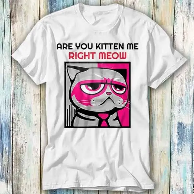 Are You Kitten Me Right Meow T Shirt Meme Gift Top Tee Unisex 938