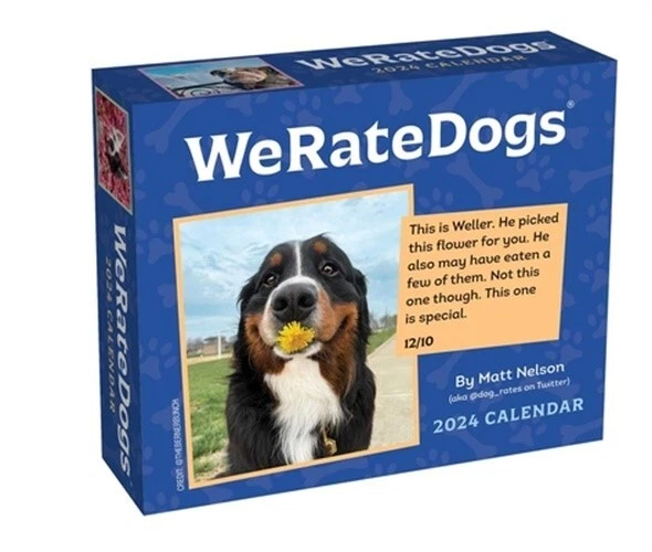 WERATEDOGS 2024 DAY-TO-DAY Calendar (Calendar) $22.13 - PicClick CA WERATEDOGS 2024 DAY-TO-DAY Calendar (Calendar) $22.13 - PicClick CA