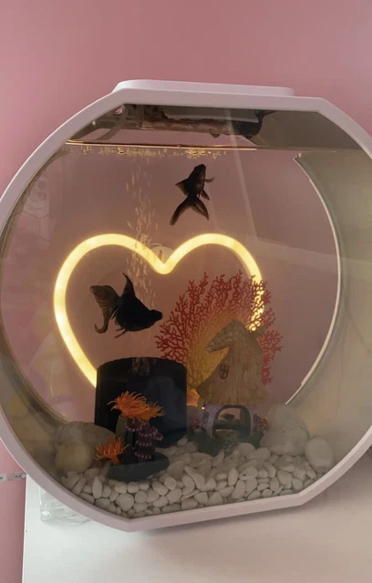 Fish Tank - White