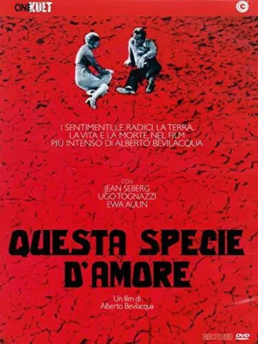 Questa Specie D`Amore - (Italian Import) DVD NUOVO