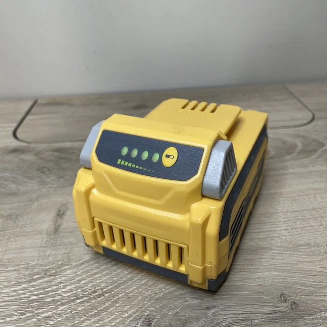 Lynxx 40v battery interchangeable online