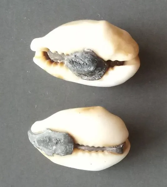 18th circa.--SOUTHEAST ASIA--ANCIENT COWRIE SHELL MONEY---set of 2 2