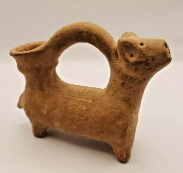 Original Nayarit Dog Effigy Vessel 300 BC - 300 AD 2