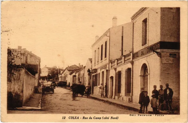 CPA AK ALGERIA KOLEA COLEA - Rue du Camp (1380286)