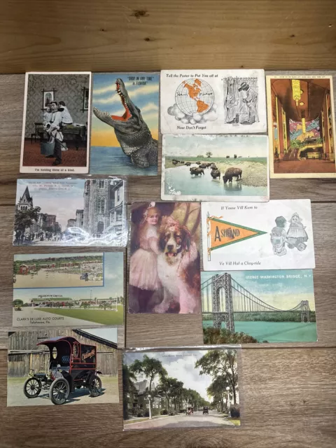 Vintage POSTCARD Lot of 12 Unposted/Posted USA Old Cards Unused & Used Dog Car