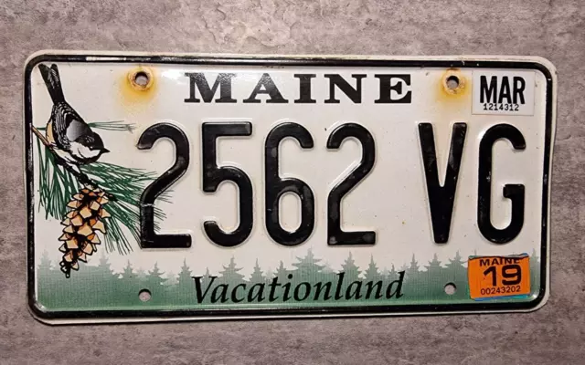 USA Nummernschild Kennzeichen License Plate Maine Vicaionland