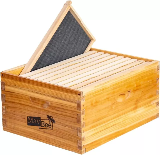 MayBee Beehive 10 Frame Box Langstroth Deep Brood Dipped in Beeswax Beekeeping