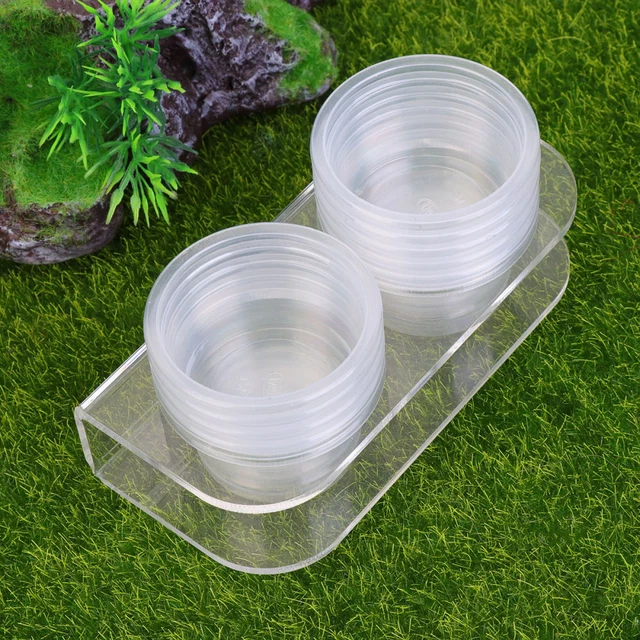 Sacchetti Bomboniere Rettili 16 Pezzi - Tema Safari Per Feste Compleanno - Foto 11