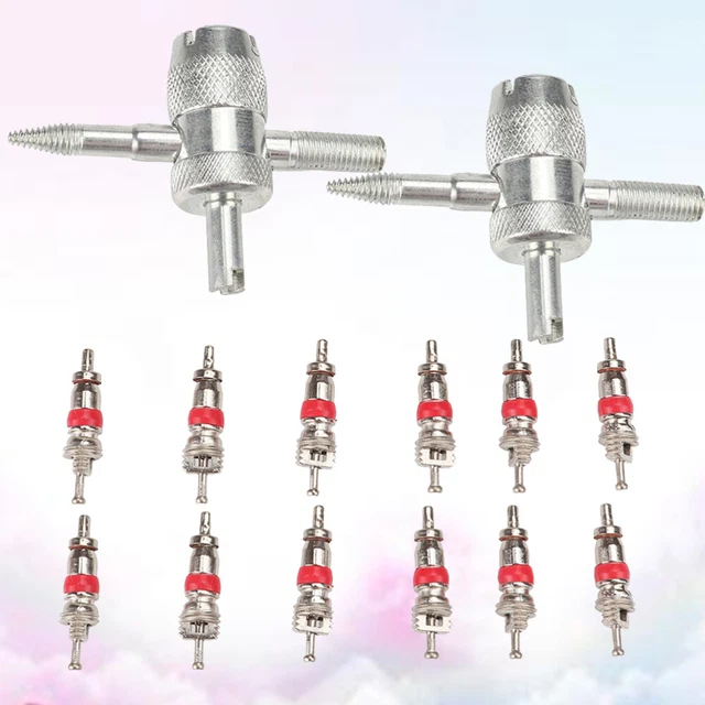 44pcs-Demonte Obus Valve Kit D'outils Réparation Démonte Obus De Valve Double Et à Une Tête