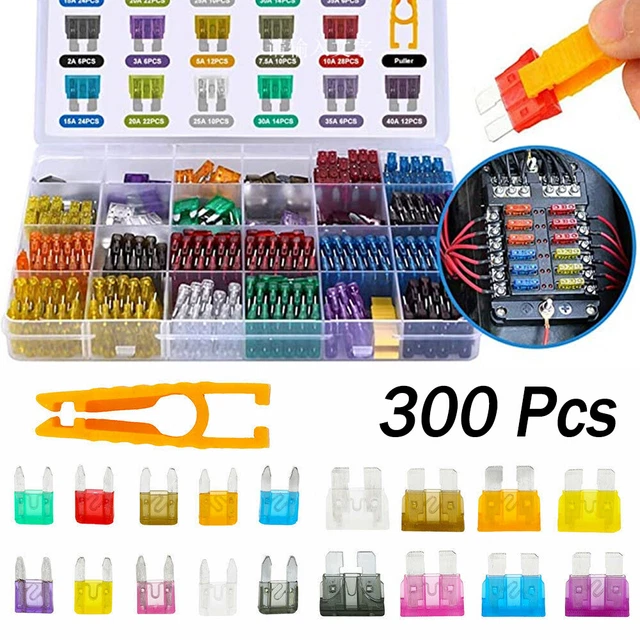 300X Mini & Standard voiture lame 2-40A fusibles assortiment Auto Van Fuse Set