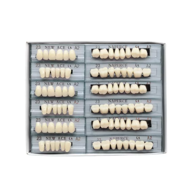 168pc Acrylic Resin Denture Full Set Teeth Upper Lower Shade Tooth Dental 23# A2