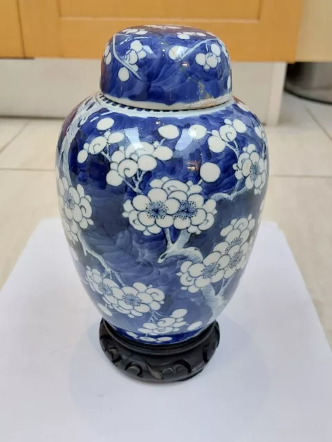 Large Chinese 19th century Ovoid Prunus Jar
