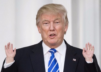 Tiny Donald Trump Main Avc Votre Chat Chien Caressant Soyez Petit Trump Mains Eur 5 72 Picclick Fr