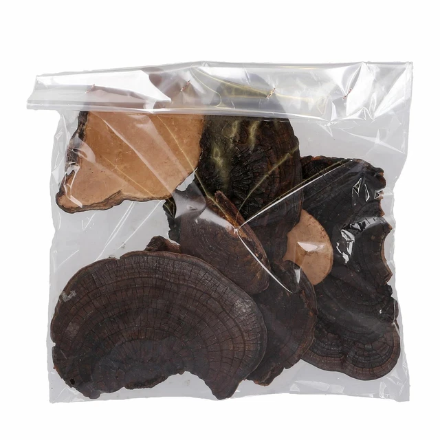 Esponja de árbol - 1 kg - natural oscuro