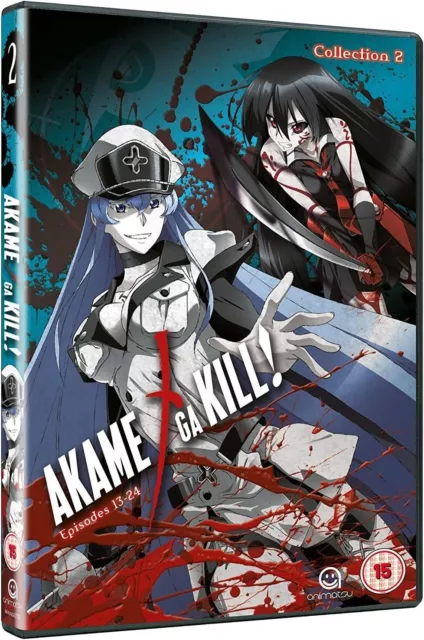 Akame Ga Kill Collection 2 (Episodes 13-24) [DVD]