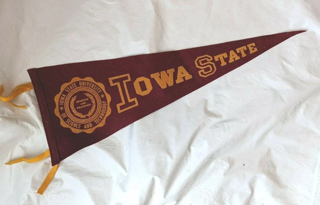 Vintage 1950s Iowa Stato University Cyclones Scienza Morbido Feltro Gagliardetto